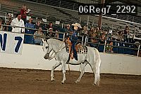 06reg7_2292 proof