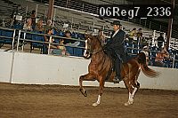 06reg7_2336 proof