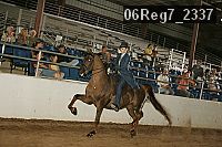 06reg7_2337 proof
