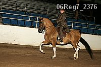 06reg7_2376 proof