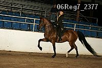 06reg7_2377 proof