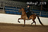 06reg7_2378 proof