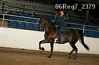 06reg7_2379 proof
