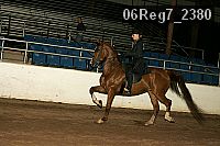 06reg7_2380 proof