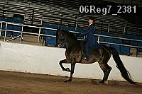 06reg7_2381 proof
