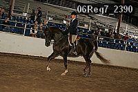 06reg7_2390 proof