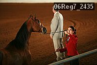 06reg7_2435 proof