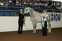 06reg7_2450 proof