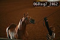 06reg7_2462 proof