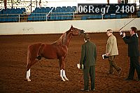 06reg7_2480 proof