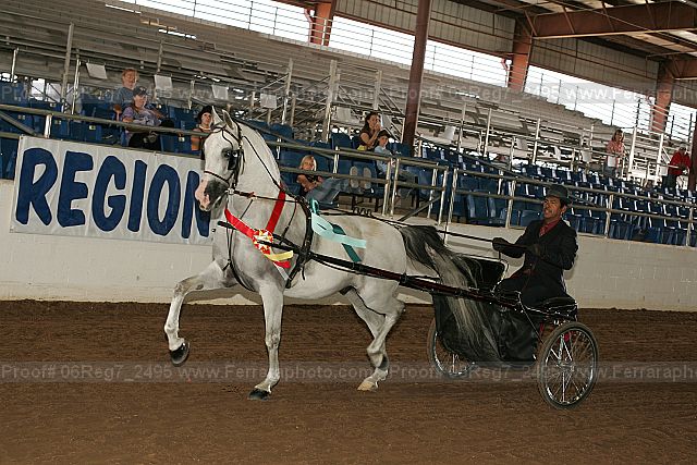 Proof 06reg7_2495