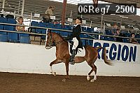 06reg7_2500 proof
