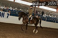 06reg7_2555 proof