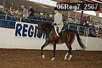 06reg7_2567 proof