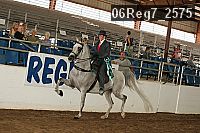 06reg7_2575 proof