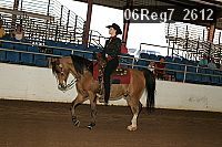 06reg7_2612 proof