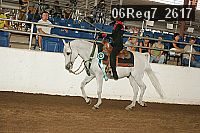 06reg7_2617 proof
