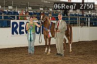 06reg7_2750 proof