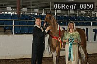 06reg7_0850 proof