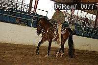 06reg7_0077 proof