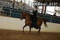 06reg7_0145 proof