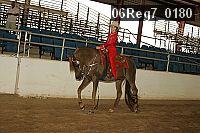 06reg7_0180 proof