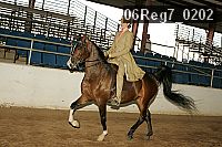 06reg7_0202 proof