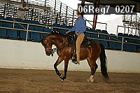 06reg7_0207 proof