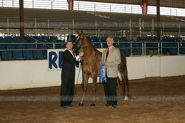 Proof 06reg7_0010