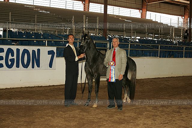 Proof 06reg7_0016