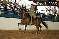 06reg7_0035 proof