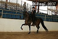 06reg7_0037 proof