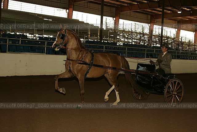 Proof 06reg7_0240