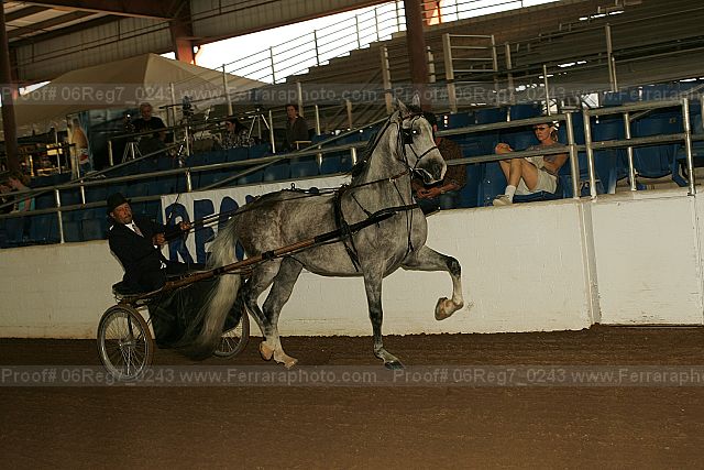 Proof 06reg7_0243