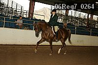 06reg7_0264 proof