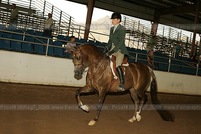 Proof 06reg7_0268
