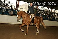 06reg7_0274 proof