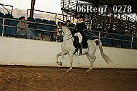 06reg7_0278 proof