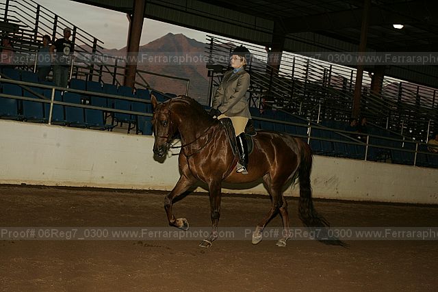 Proof 06reg7_0300