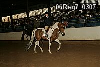06reg7_0307 proof