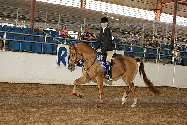 Proof 06reg7_0550