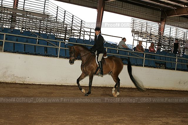 Proof 06reg7_0563