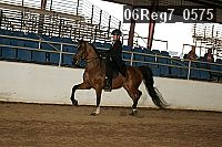 06reg7_0575 proof