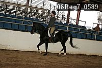 06reg7_0589 proof