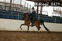 06reg7_0479 proof