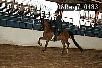 06reg7_0483 proof