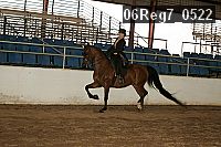 06reg7_0522 proof
