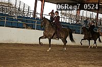 06reg7_0524 proof