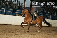 06reg7_0702 proof