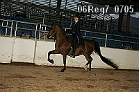 06reg7_0705 proof